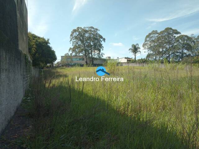 #TER5903 - Área para Venda em São Bernardo do Campo - SP - 2